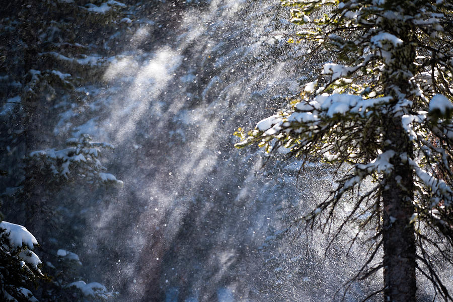 Winter Wonderland Photograph by Gary Kochel