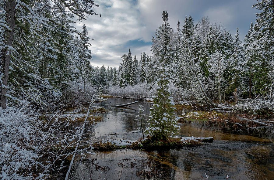 Winter Wonderland Photograph by Gary McCormick