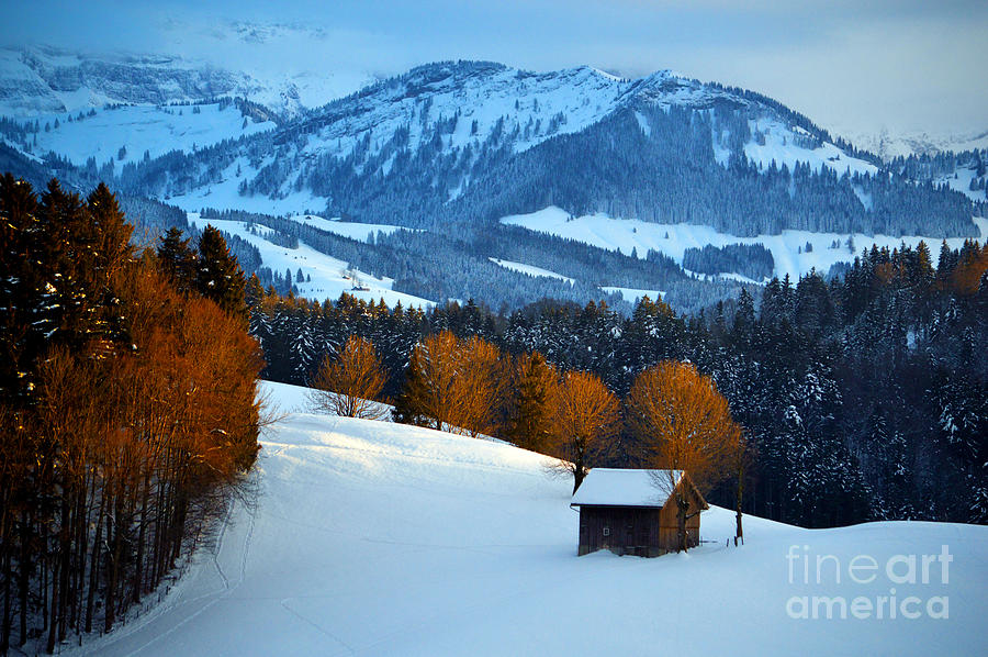 Winter Wonderland In Switzerland - Sunset Light In The Trees Photograph