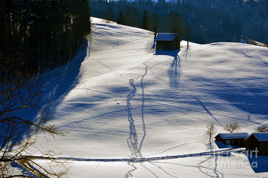 Winter Wonderland in Switzerland - Tracks in the snow Photograph by Susanne Van Hulst