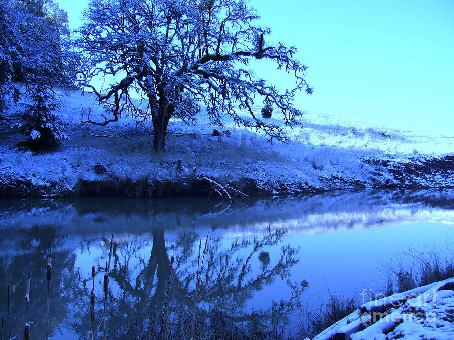 Winter Wonderland Photograph by JoAnn SkyWatcher