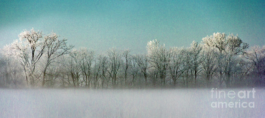 Winter Wonderland Panorama Photograph by Karen Jorstad