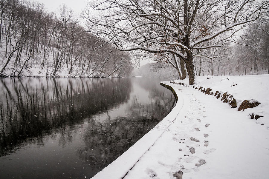 Winter Wonderland Photograph by Kristopher Schoenleber