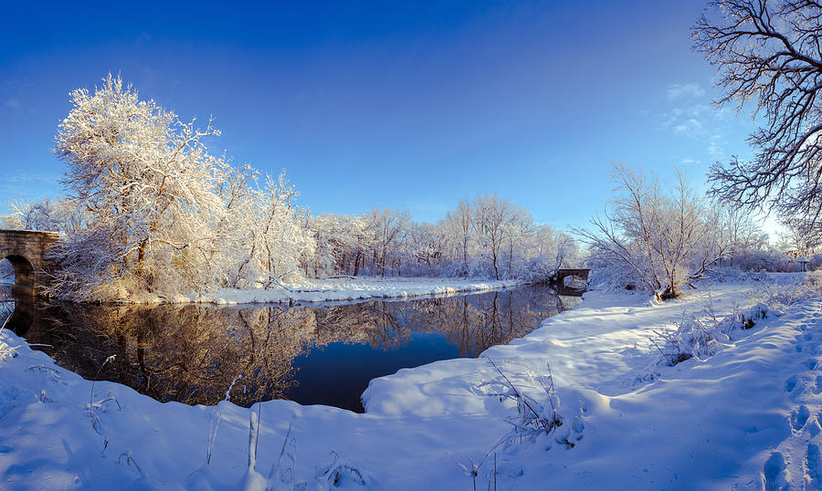 Winter Wonderland Photograph by Lauri Novak