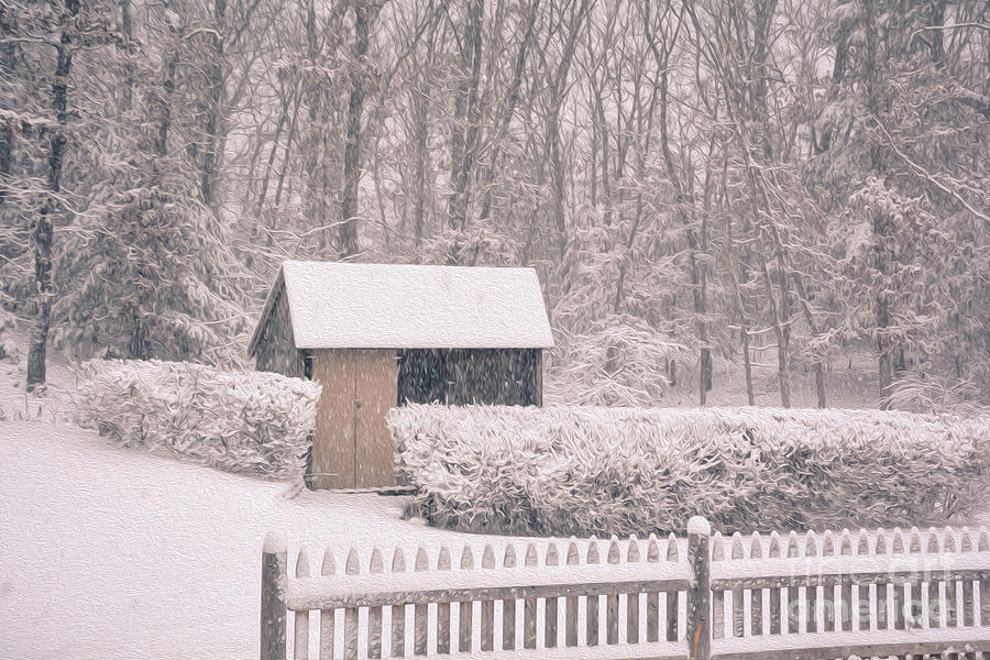 Winter Wonderland Photograph by Lisa Kilby