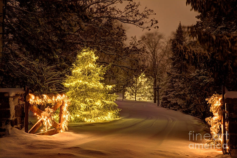 Winter Wonderland Minnesota Photograph by Wayne Moran