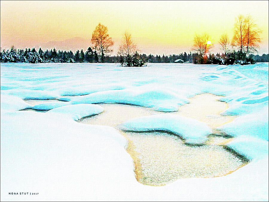Winter Wonderland Photograph by Mona Stut