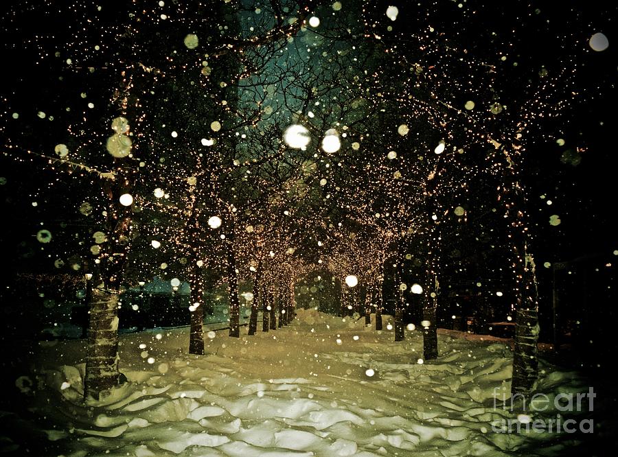 Winter Wonderland - New York Photograph by Debra Banks