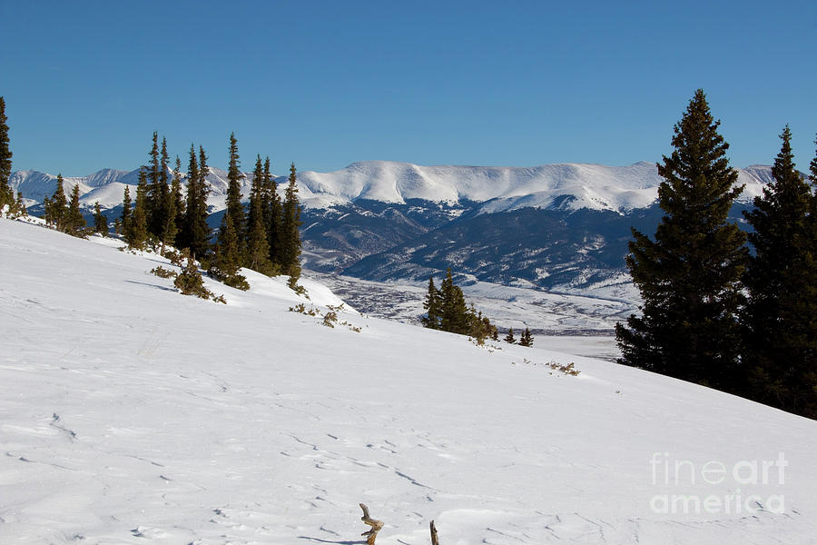 Winter Wonderland on Mount Elbert Colorado in Winter Photograph by Steven Krull