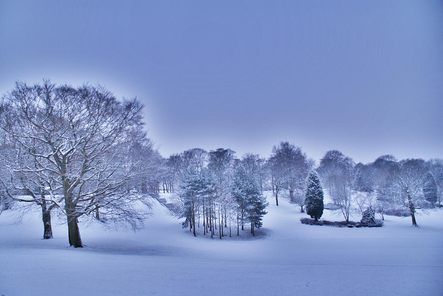 Winter Wonderland Photograph by Sandra Cockayne ADPS
