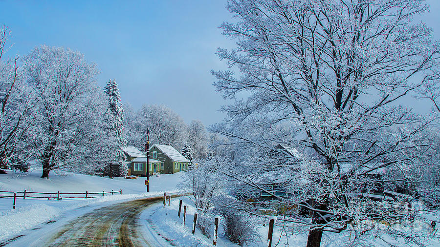 Winter Wonderland Photograph by Scenic Vermont Photography