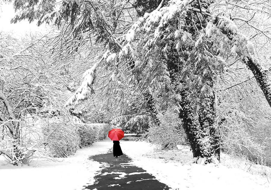 Winter Wonderland Walk Photograph by Jessica Jenney