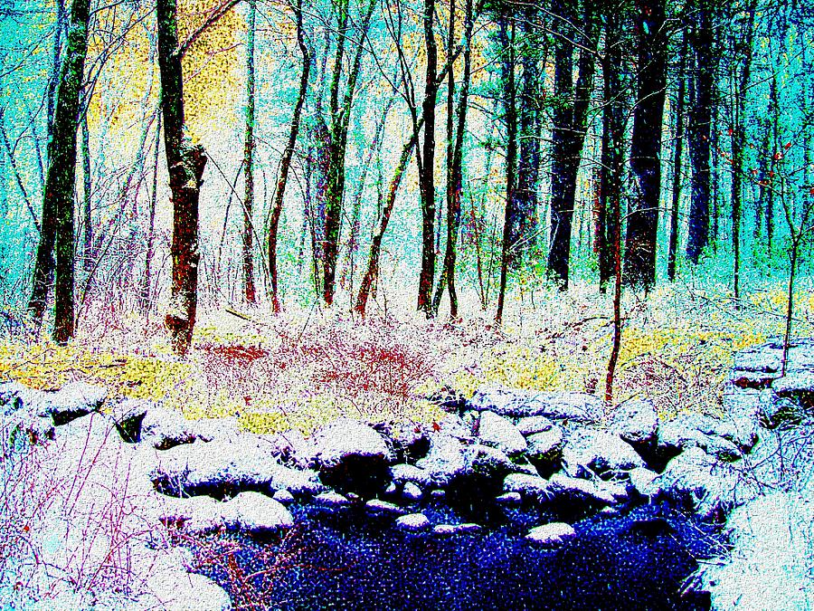 Winter Woodland Digital Art by Cliff Wilson