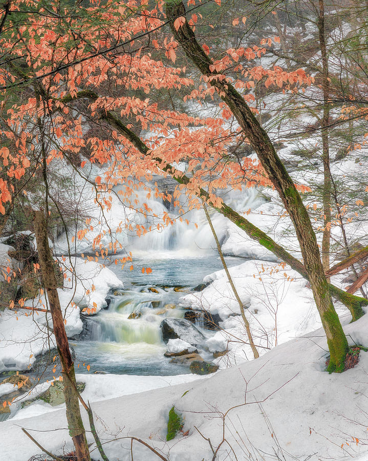 Waterfall Photograph - Winter Woodland Stream by Bill Wakeley