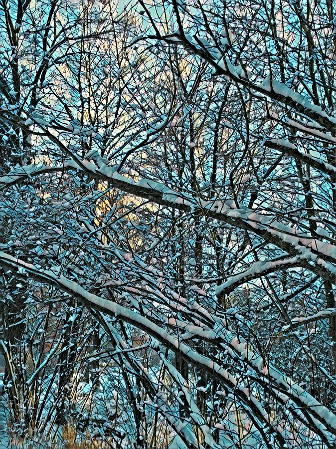 Tree Digital Art - Winter Woods 4 Blue  by Brenda Plyer