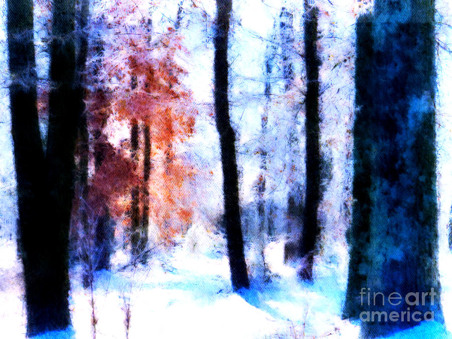 Winter Woods Digital Art by Craig Walters