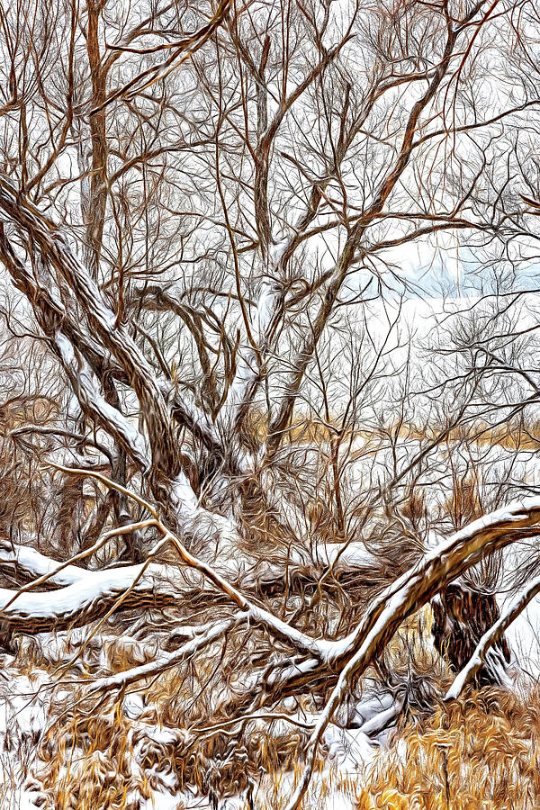 Winter Woods On A Stormy Day 3 - Paint Photograph by Steve Harrington