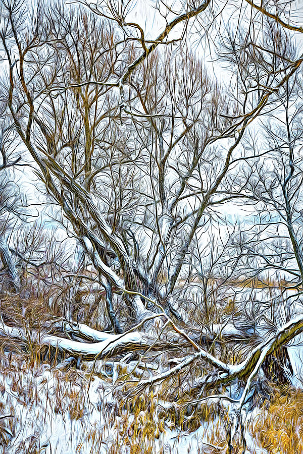 Winter Woods On A Stormy Day - Paint Photograph by Steve Harrington