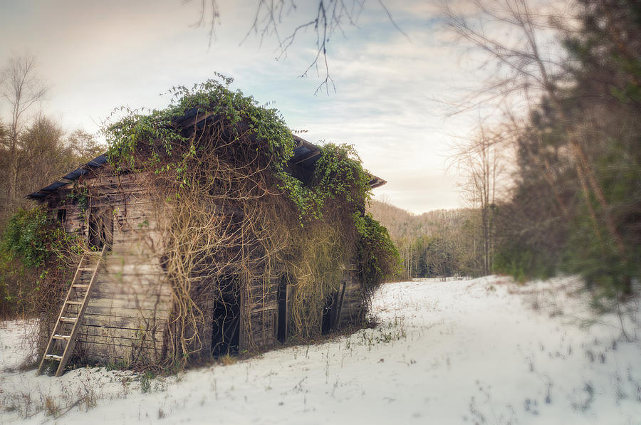 Winter Woodshed Photograph by Ray Devlin