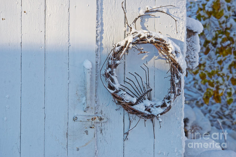 Winter Wreath Photograph by David Arment