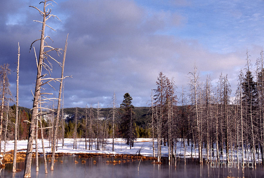 Yellowstone National Park Photograph - Winter Yellowstone National Park by Thomas R Fletcher