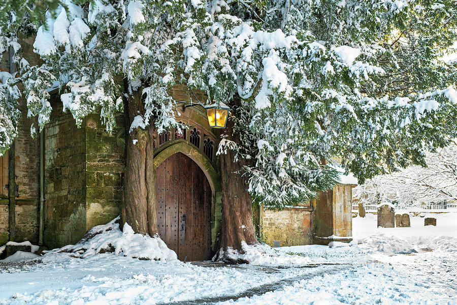 Winter Yews in Stow on the Wold Photograph by Tim Gainey