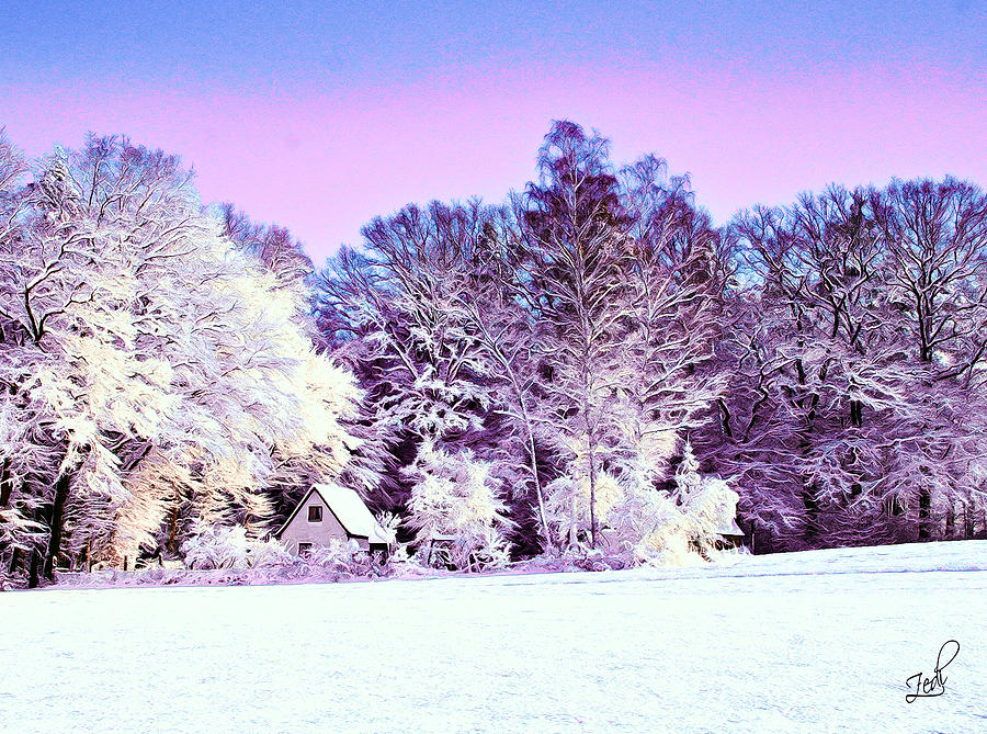 Winter Digital Art by - Zedi -
