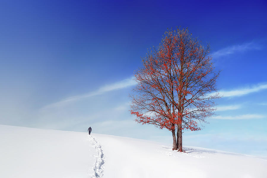 Winterfall Photograph by Mikel Martinez de Osaba