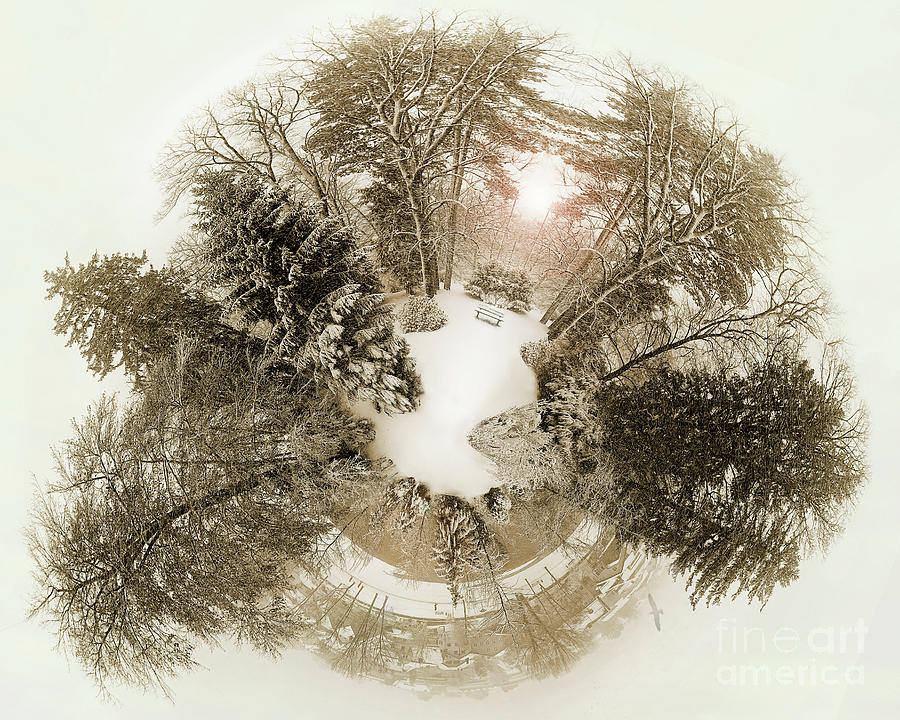 Wintergarden Photograph by Edmund Nagele FRPS