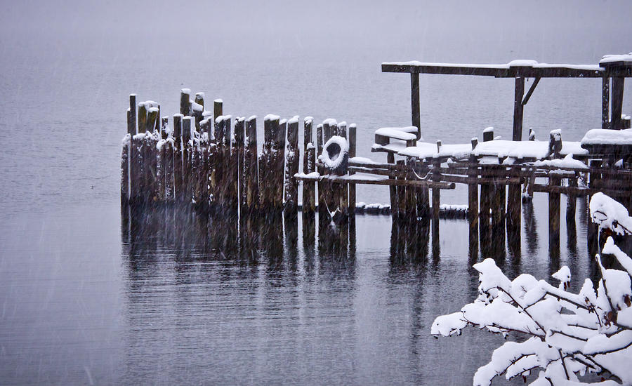 Winterized Photograph by Albert Seger