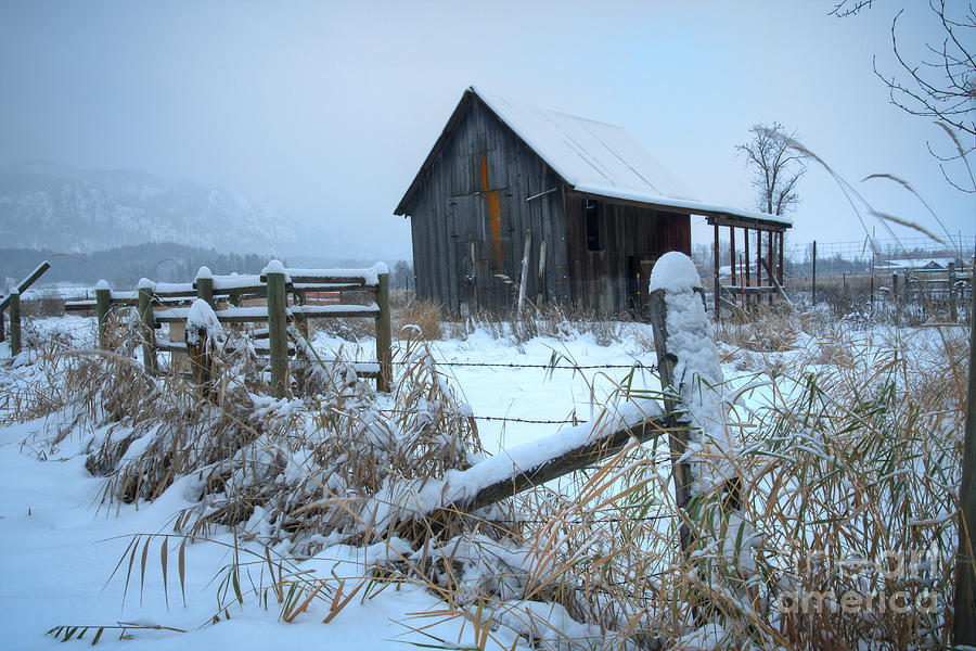 Winters arrival Photograph by Idaho Scenic Images Linda Lantzy