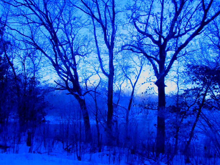 Winters  Blues Photograph