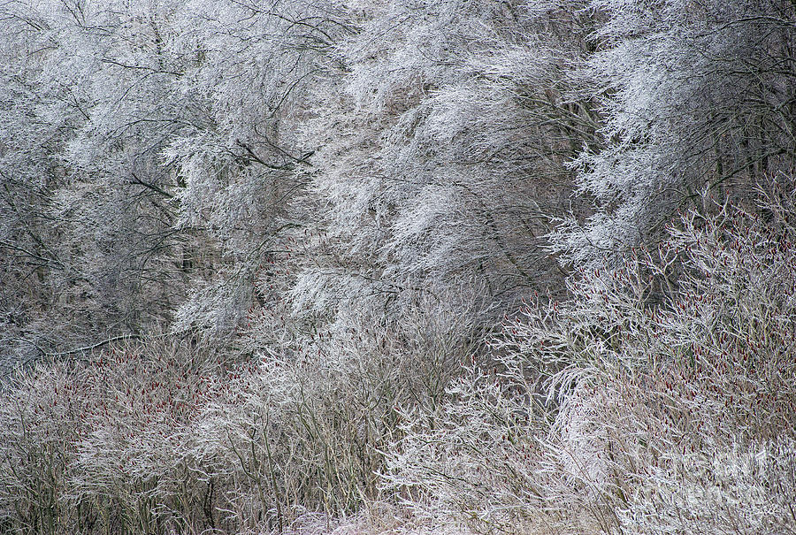 Winters Breath Photograph by Doug Gibbons - Fine Art America