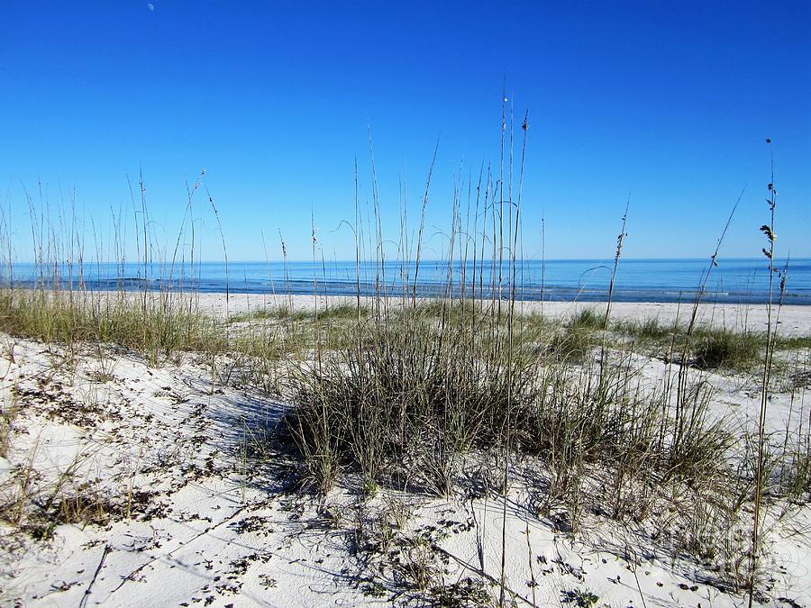 Winter's Day at the Gulf Photograph by Nancy Worrell - Fine Art America