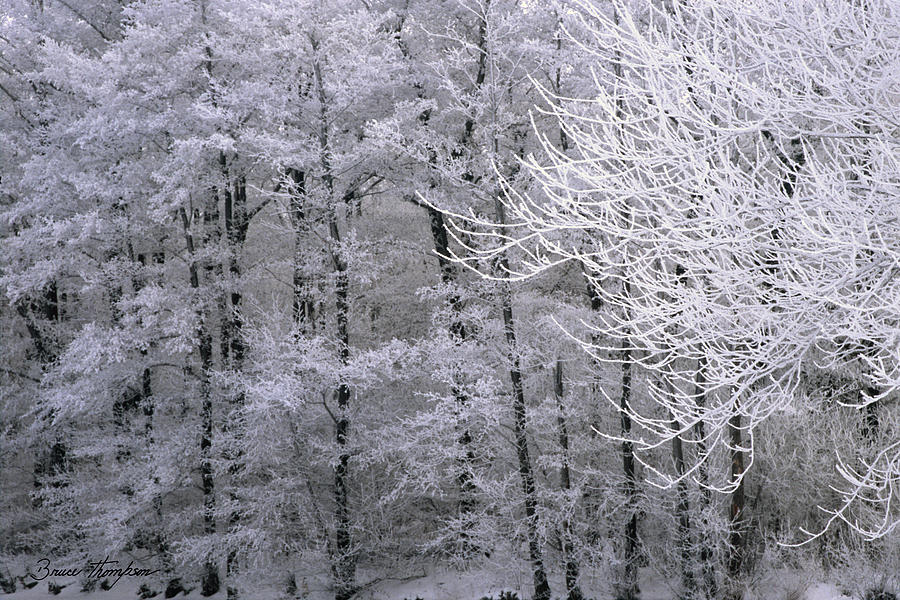 Winter Photograph - Winters Down by Bruce Thompson Winter Photograph - Winters Down by Bruce Thompson