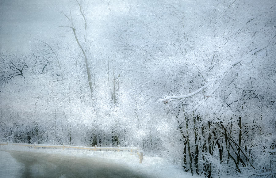 Tree Photograph - Winters Dreamy Landscape by Julie Palencia