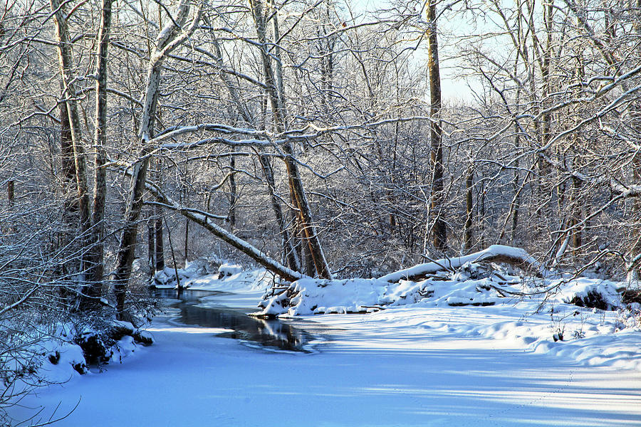 Winters edge Photograph by Robert Och Winters edge Photograph by Robert Och