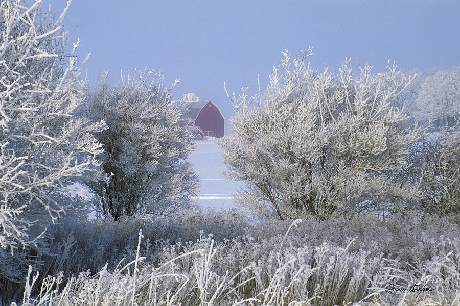 Winter's Embrace Photograph by Bruce Thompson