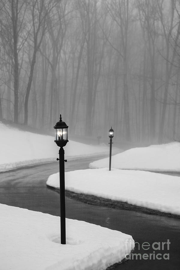 Winters End Photograph by Diane Diederich