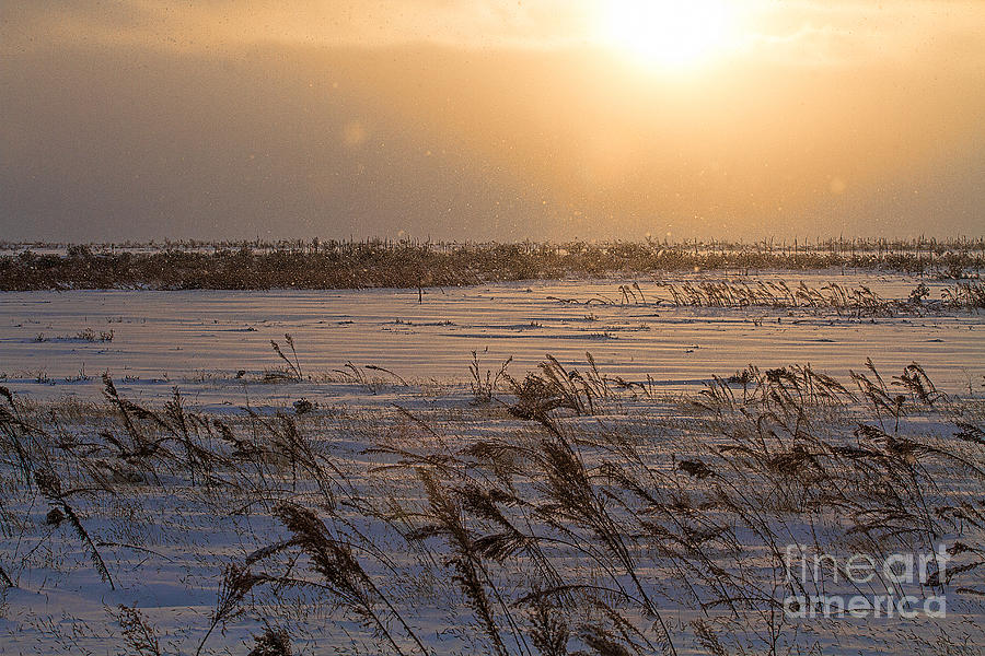 Winter Sunset Photograph - Winters Eve by Jim Garrison