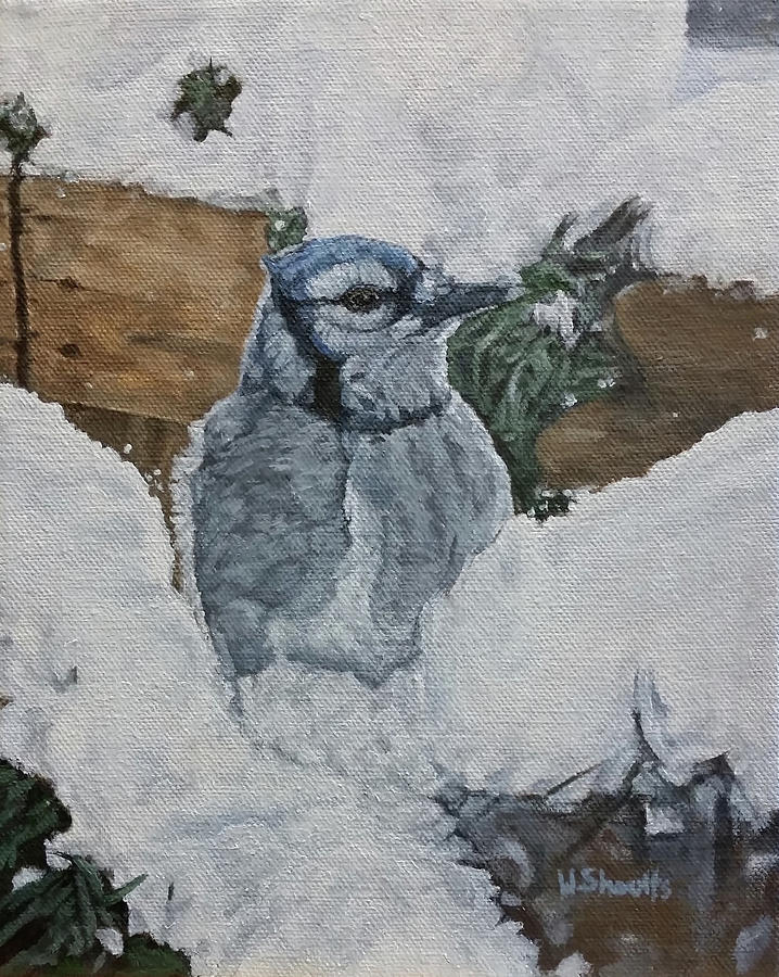 Blue Jay Painting - Winters Greeting by Wendy Shoults