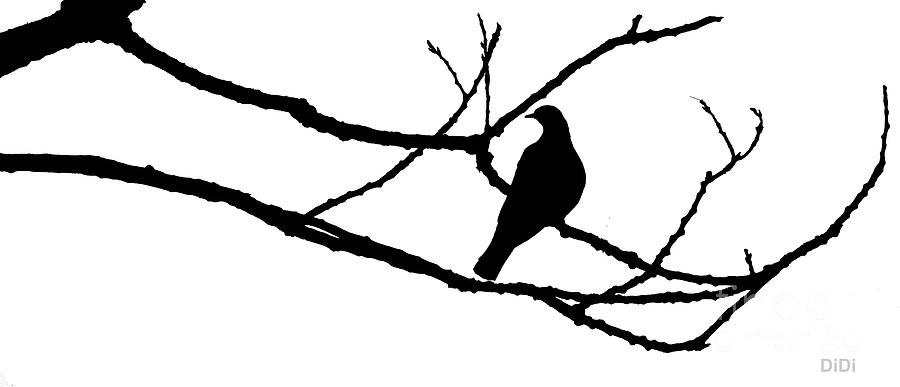 Black And White Photograph - Winters Hand and Springs Dove by DiDi Higginbotham Black And White Photograph - Winters Hand and Springs Dove by DiDi Higginbotham