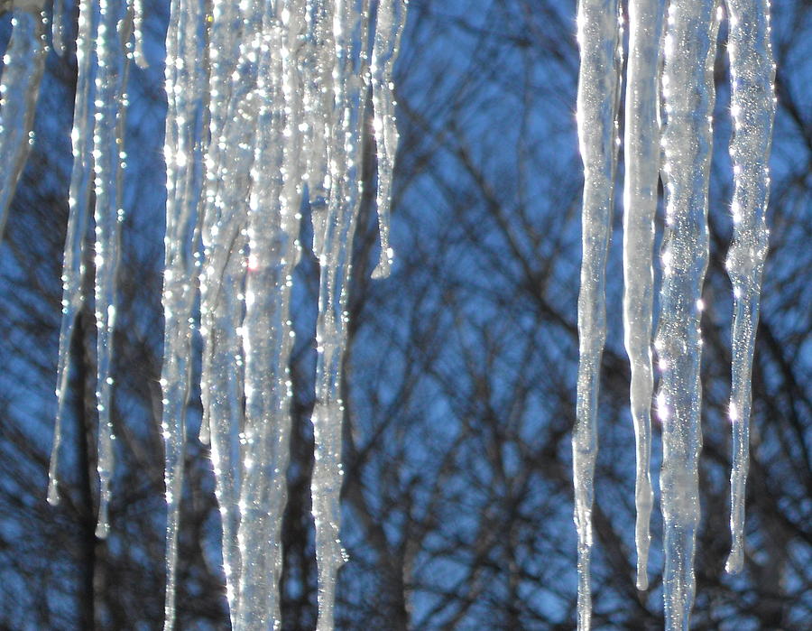 Winters Icy Fingers Photograph by Jackie Mueller-Jones