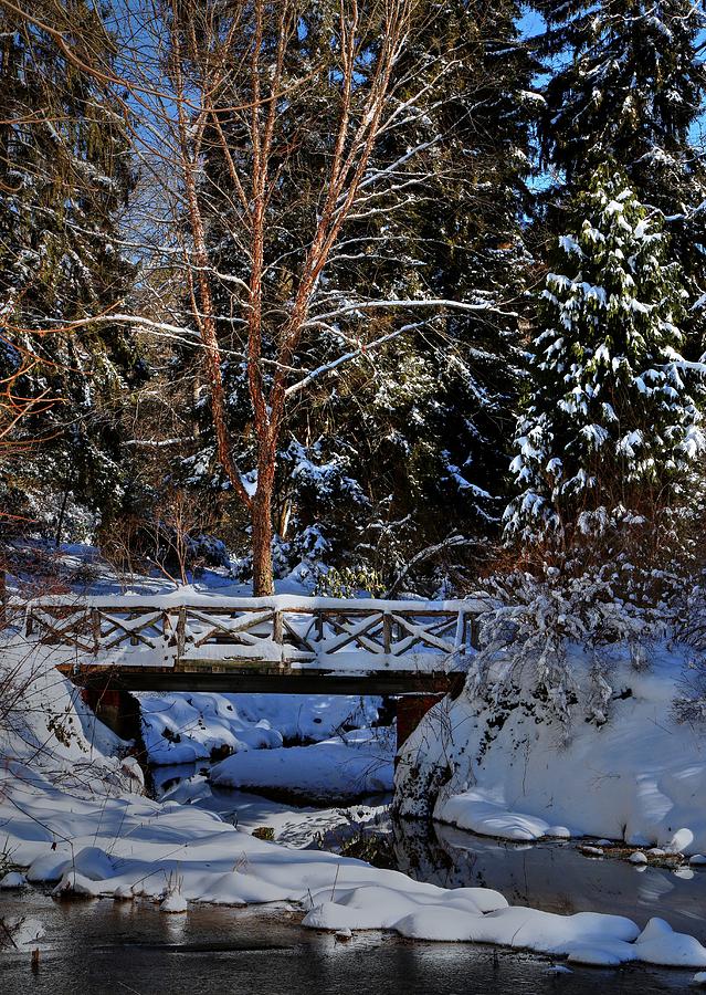 Winters Landscape Photograph by Carol Montoya