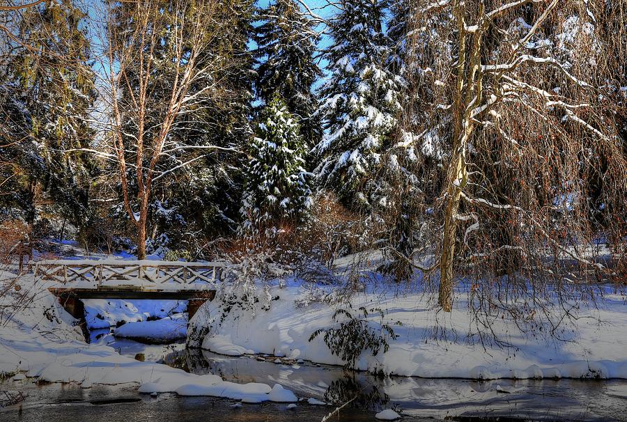 Winters Landscape II Photograph by Carol Montoya