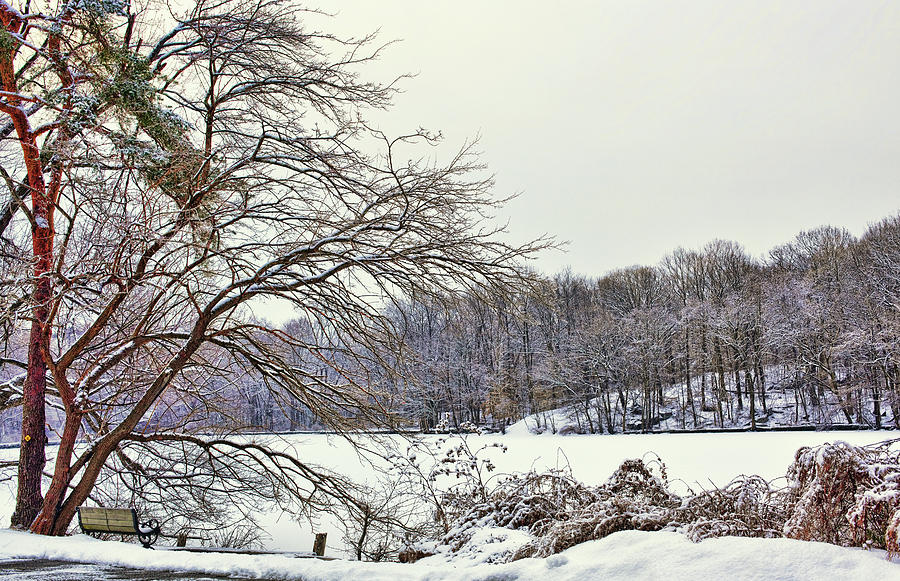 Winters Landscape Photograph