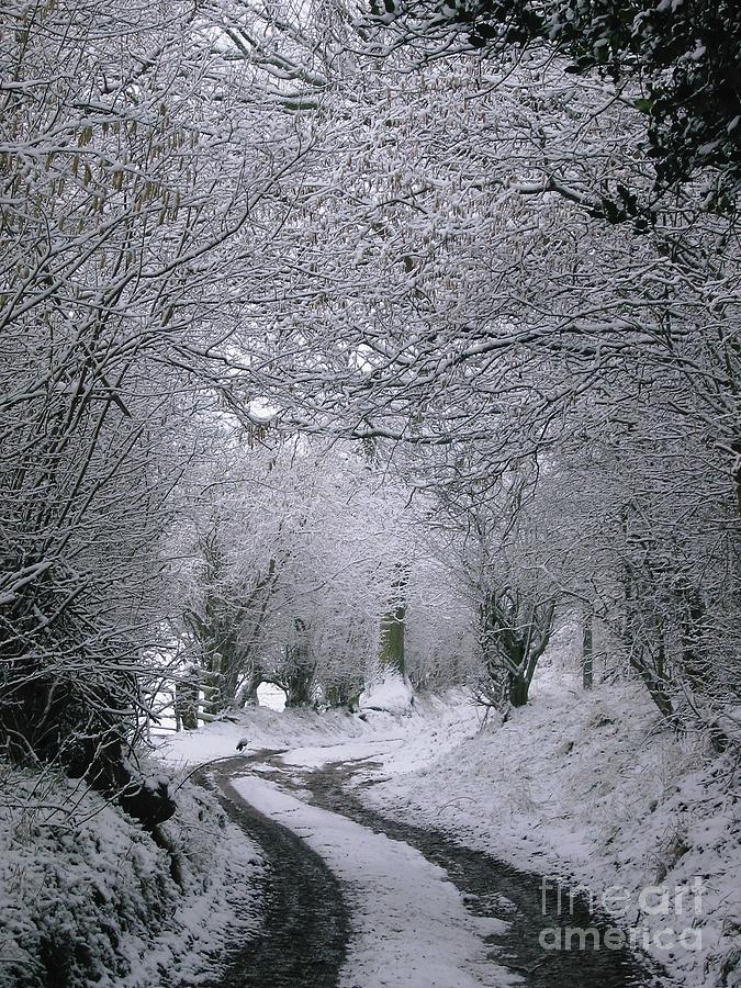 Winter Photograph - Winters Lane by Jackie Tweddle