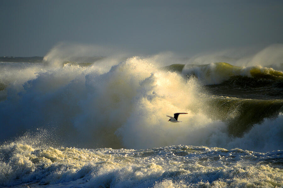 Ocean Photograph - Winters Passing by Dianne Cowen Ocean Photograph - Winters Passing by Dianne Cowen