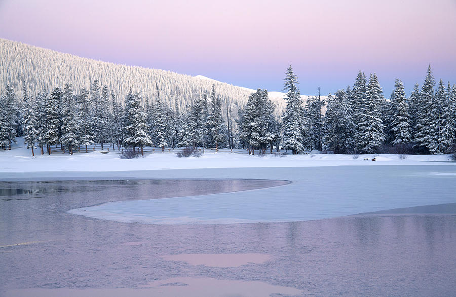Winters Pastels Photograph by Morris McClung