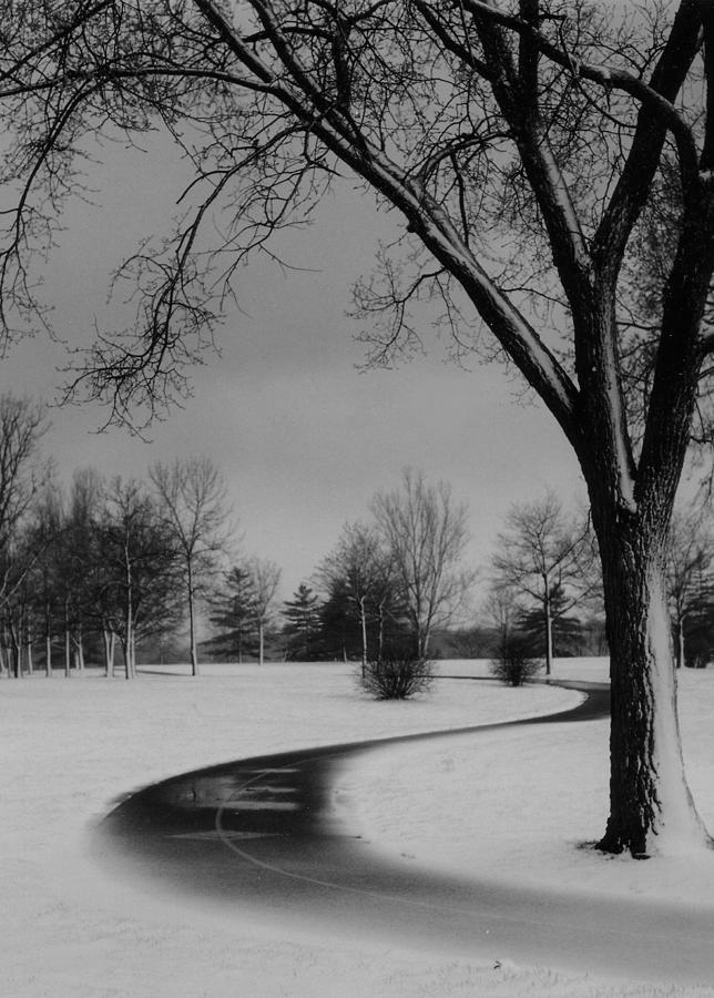 Tree Photograph - Winters Path by David  Hubbs